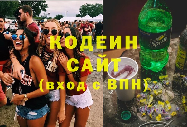 соль ск Вяземский