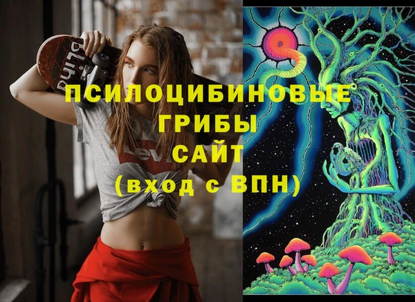 соль ск Вяземский