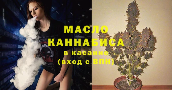 соль ск Вяземский