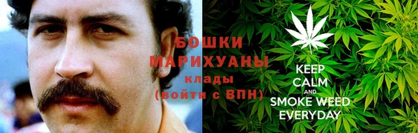 соль ск Вяземский