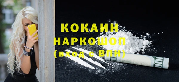 соль ск Вяземский