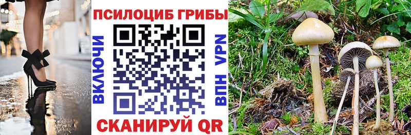 Псилоцибиновые грибы ЛСД  блэк спрут рабочий сайт  Тверь 